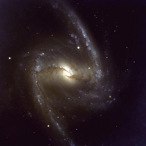 galaxiengc1365.jpg